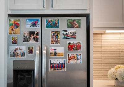 Stainless steel fridge with photo gallery 14 pack magnetic photo pockets.