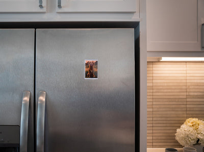 3.5x3.5 Wallet sized magnetic photo pocket on refrigerator door