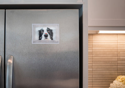 Magnetic photo pocket with Silver Glitter frame displayed on stainless steel fridge with inserted photo of black and white dog with red heart balanced on nose